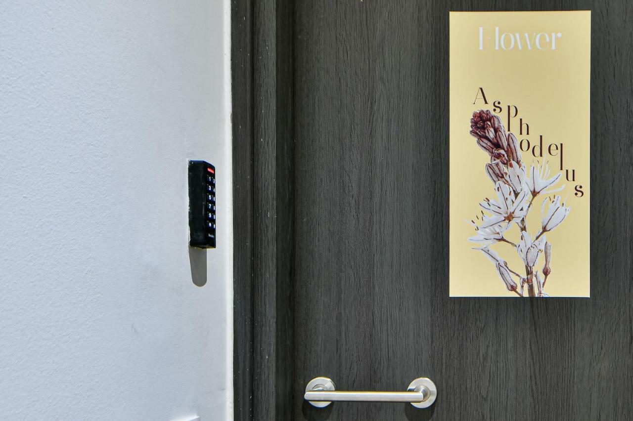 Flowers Of Athens, Boutique Aparthotel With 6-Apartments In Central Athena Bagian luar foto